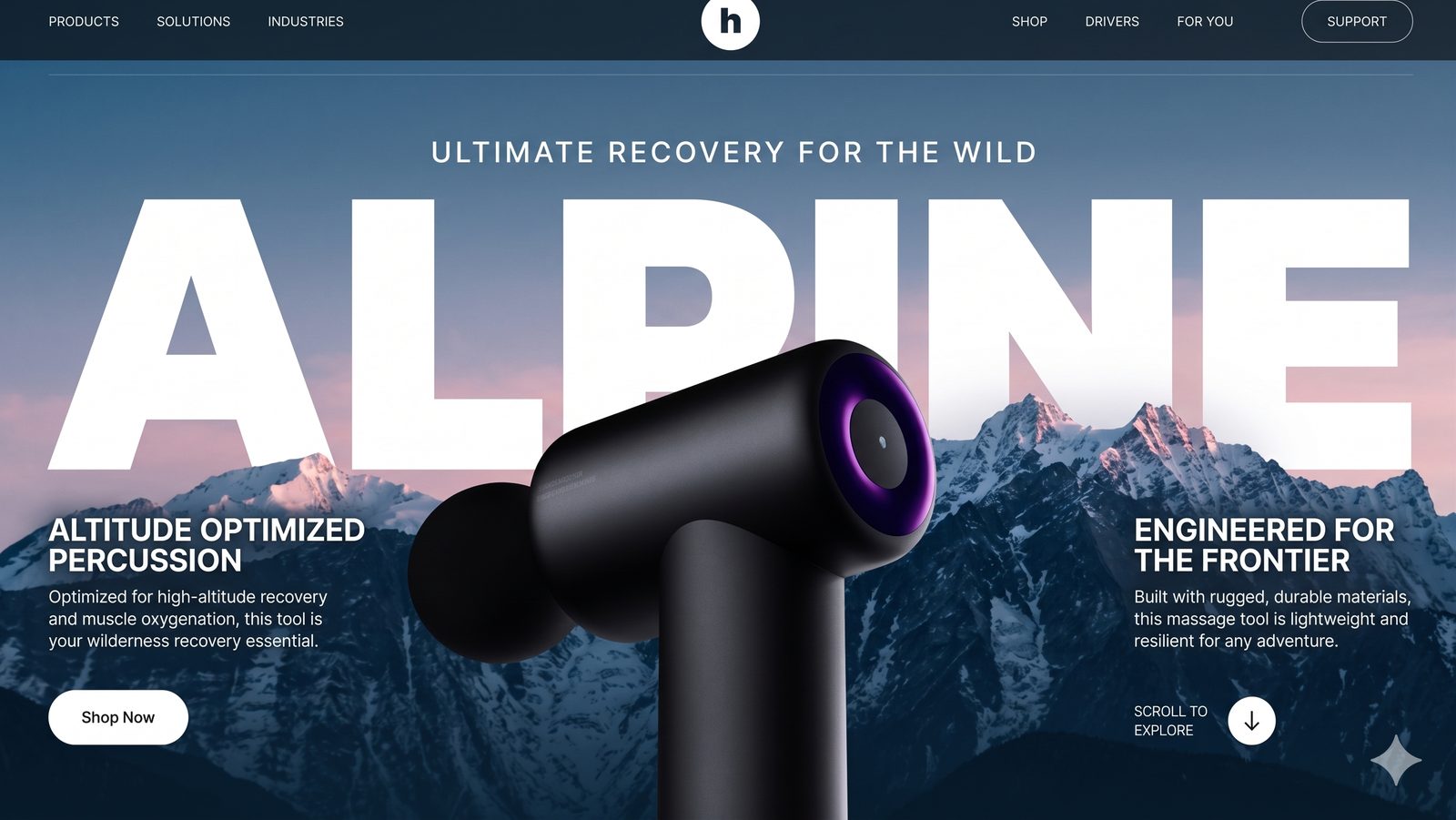 Website Design